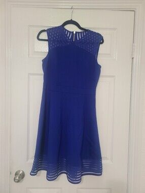 Ted Baker Dress